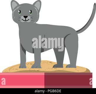 cute kitty in a littler box over white background, colorful design. vector illustration Stock Vector