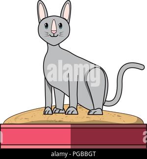 cute sphynx cat in a littler box over white background, vector illustration Stock Vector