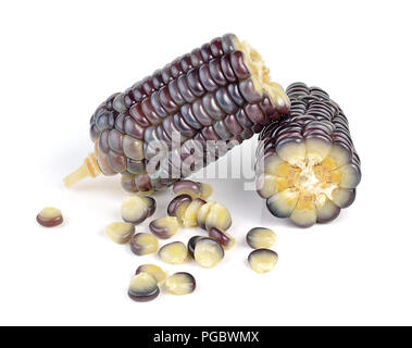 waxy corn on white background Stock Photo