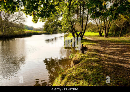 The River Medway in Kent, England between Maidstone and Wateringbury Stock Photo