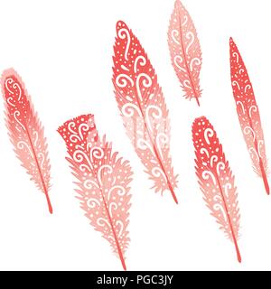 Set Flamingo feathers pink with hand drawn swirls. Vector illustration isolated on white. Stock Vector