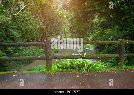 Concrete fence post bridge with moss in the nature of national park in thailand with rainy low lighting. Stock Photo