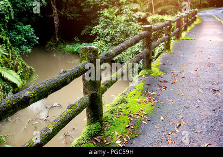 Concrete fence post bridge with moss in the nature of national park in thailand with rainy low lighting. Stock Photo