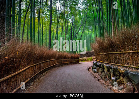 Arashiyama Bamboo grove in autumn, Arashiyama, Sagano area, Western Kyoto, Japan Stock Photo