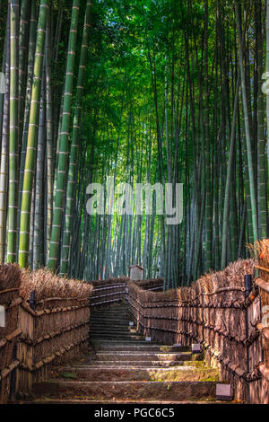 Arashiyama Bamboo grove in autumn, Arashiyama, Sagano area, Western Kyoto, Japan Stock Photo