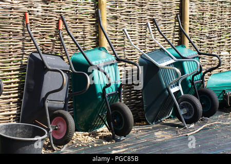 Wheelbarrows lined up against a fence at RHS Wisley allotment gardens. Stock Photo