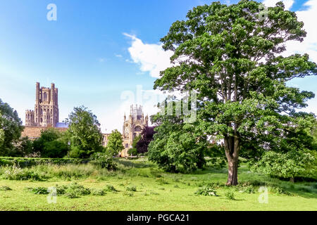 View of Ely Cathedral from Cherry Hill Park, Ely, Cambridgeshire, England Stock Photo