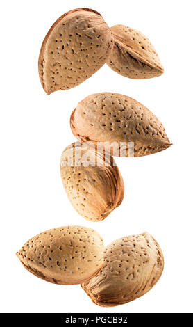 falling almonds in shell isolated on a white background. Stock Photo