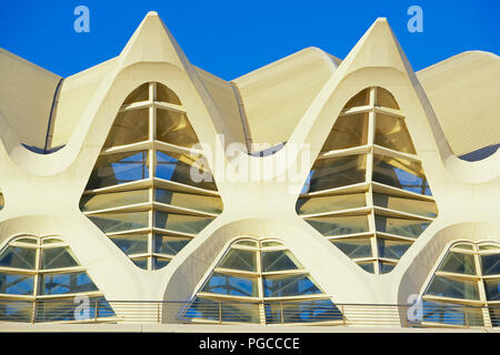 Principe Felipe Science Museum, City of Arts and Sciences, Valencia, Spain, Europe Stock Photo