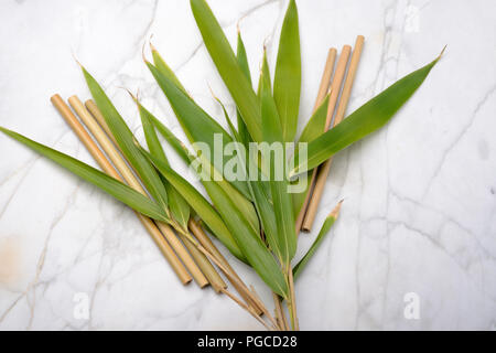 Bamboo drinking straws with bamboo leaves. Stock Photo