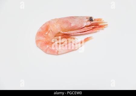 Fresh and freshly cooked shrimp on white background. It is very tasty and juicy. Stock Photo