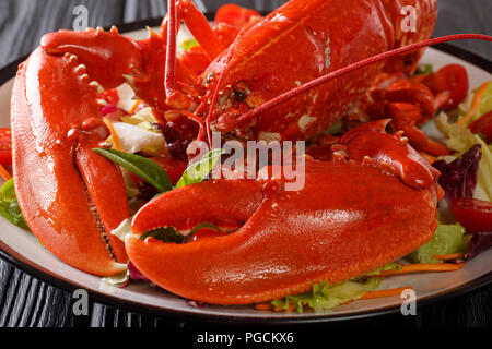 Whole cooked lobster served with vegetable salad on a plate close-up. horizontal Stock Photo