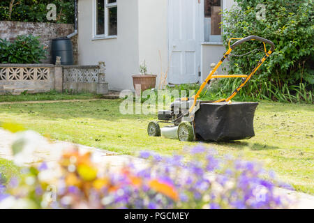 Lawnmower in a Garden on Freshly Mown Lawn Stock Photo