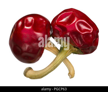 Dried cherry peppers (Capsicum annuum), whole pods, top view Stock Photo