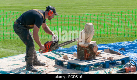 Strathaven, Scotland, UK. 25th August, 2018. James Elliott carving an owl using a chainsaw at the Strathaven Balloon Festival celebrating its 20th Anniversary and is held in the award winning John Hastie Park. Credit: Skully/Alamy Live News Stock Photo