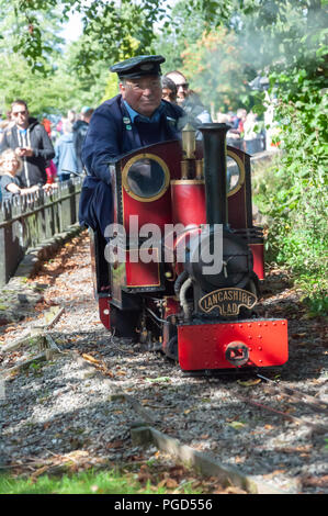 Strathaven, Scotland, UK. 25th August, 2018. Strathaven Miniature Railway at the  Strathaven Balloon Festival celebrating its 20th Anniversary and is held in the award winning John Hastie Park. Credit: Skully/Alamy Live News Stock Photo