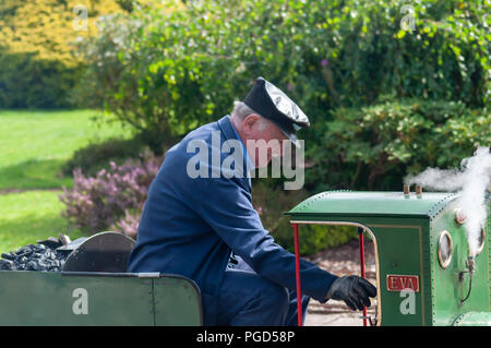 Strathaven, Scotland, UK. 25th August, 2018. Strathaven Miniature Railway at the  Strathaven Balloon Festival celebrating its 20th Anniversary and is held in the award winning John Hastie Park. Credit: Skully/Alamy Live News Stock Photo