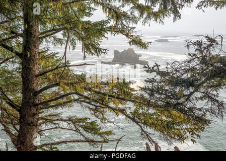 Foggy Oregon coast and the Pacific Ocean. Samuel H. Boardman State Scenic Corridor, Southwestern Oregon coast, USA. Stock Photo