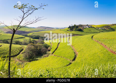 Valley of a Thousand hills landscape. Green hills panorama. South African landmark near Durban. Stock Photo