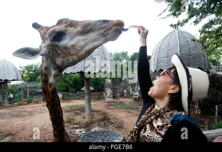 Bangkok, Thailand. 24th Aug, 2018. A woman feed a giraffe at Dusit Zoo in Bangkok, Thailand on August 24, 2018. Zoo-goers have more time to say goodbye to animals as Dusit Zoo as its closing date is moved from the end of this month to September 30, 2018 after 80 years operating. Credit: Chaiwat Subprasom/Pacific Press/Alamy Live News Stock Photo