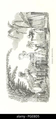 Image  from page 306 of 'Narrative of a Journey through the Upper Provinces of India ... Third edition' . Stock Photo