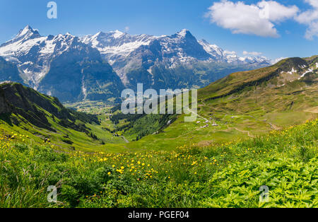 View from First to Grindelwald and the Schrekhorn and Eiger mountains in the Jungfrau region of the Bernese Oberland Alps, Switzerland Stock Photo