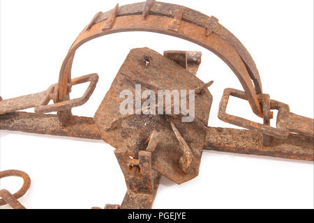 A very large, toothed  metal spring trap. Research would indicate it is from the middle of the 19th century and there is a suggestion that it was expo Stock Photo