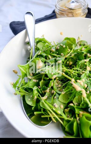 A simple green salad of mizuna and miner's lettuce served with a rhubarb and poppy seed vinaigrette, served in a white bowl with a serving spoon. Stock Photo