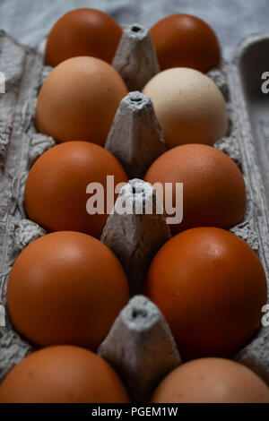 Ten brown chicken eggs in a cardboard carton.  The eggs show variation in colour and tone. Stock Photo