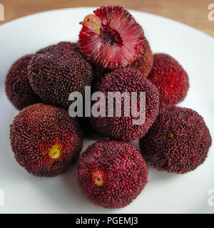 Yangmei, Chinese bayberry (Myrica rubra) tree, Fujian Province, China