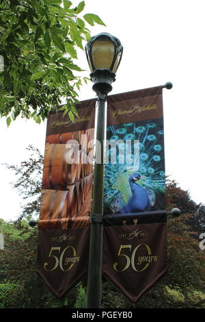 Lamppost with 50 year anniversary banner at Chateau Ste. Michelle, Washington State's oldest winery, located in Woodinville, Washington, near Seattle. Stock Photo