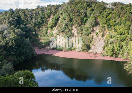 Southern Crater, Waimangu Volcanic Valley, Rotorua, New Zealand. Pink agae blooms on the edge of volcanic lake surrounded by deep forest covered cliff Stock Photo