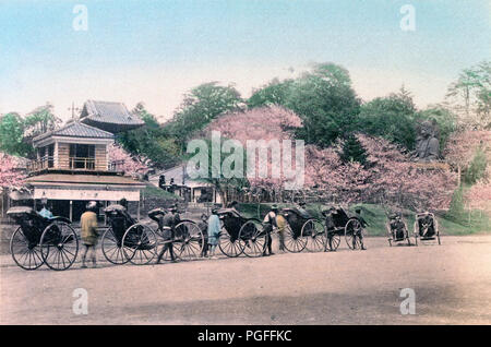 1890s Japan - Sakura at Ueno Park, Tokyo ] — Cherry blossom