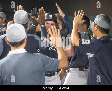 New York Yankees celebrate winning the 2009 World Series at Yankee Stadium  in New York, Wednesday, November 4, 2009. The Yankees defeated the Phillies  7-3 in Game 6. (Photo by Yong Kim/Philadelphia Daily News/MCT/Sipa USA  Stock Photo - Alamy