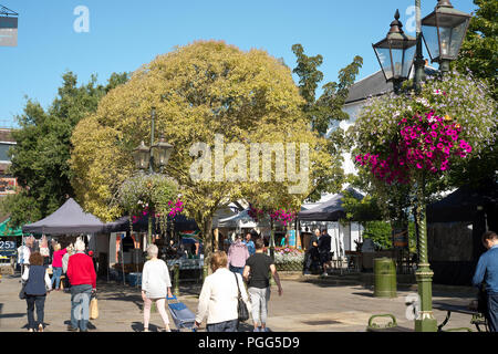 The Carfax in Horsham town center, Summer flowers in hanging baskets and people out at the market. Stock Photo