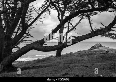 Innisidgen Carn and the Upper Burial Chamber, Innisidgen Hill, St. Mary's, Isles of Scilly, UK: black and white version Stock Photo