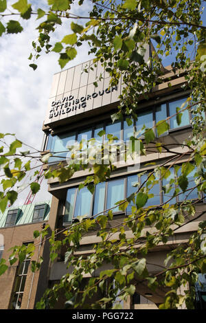 David Attenborough Building Cambridge Stock Photo