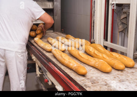 Baker taking out fresh baked bread from the industrial oven Stock Photo
