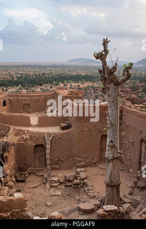 A traditional Dogon village with mud houses a Dogon ladder and a baobab in Dogon country, Mali, Africa Stock Photo