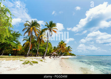 Idyllic tropical beach with white sand, palm trees and turquoise Caribbean sea water on Mustique island in St Vincent and the Grenadines Stock Photo