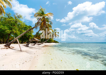 Idyllic tropical beach with white sand, palm trees and turquoise Caribbean sea water on Mustique island in St Vincent and the Grenadines Stock Photo