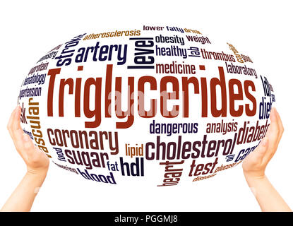 Triglycerides, word cloud sphere concept on white background. Stock Photo