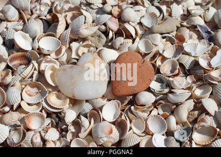 Two stones in the form of hearts lying on seashells on the sea coast. Stock Photo