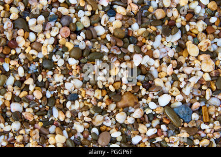 Background texture of wet multicolored stones on the beach. Stock Photo