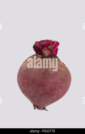 Ripe raw beetroot isolated on white. One single beet, close up. Stock Photo