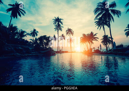 Amazing sunset on palm coast sea in subtropics. Stock Photo