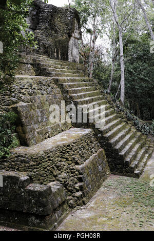 Ancient Mayan citadel Tikal in Guatemala during daylight Stock Photo ...