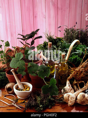 MIXED HERBS IN POTS WITH BOTTLES OF HERB VINEGAR AND OIL FRESH GARLIC AND BASKET OF FRESH HERBS. Stock Photo