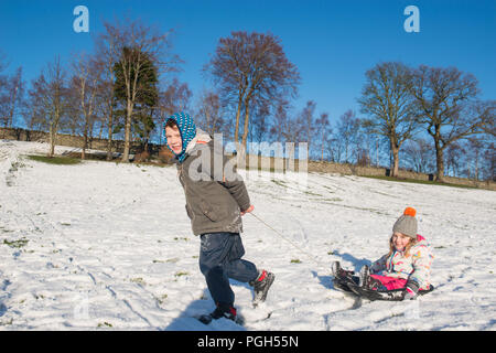 Picture: Sam 7 and Lily 4 Ellis Peebles, Sledging in the snow at Haylodge park Stock Photo