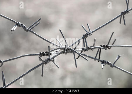 Barbed wire Background - Black and white shot Stock Photo